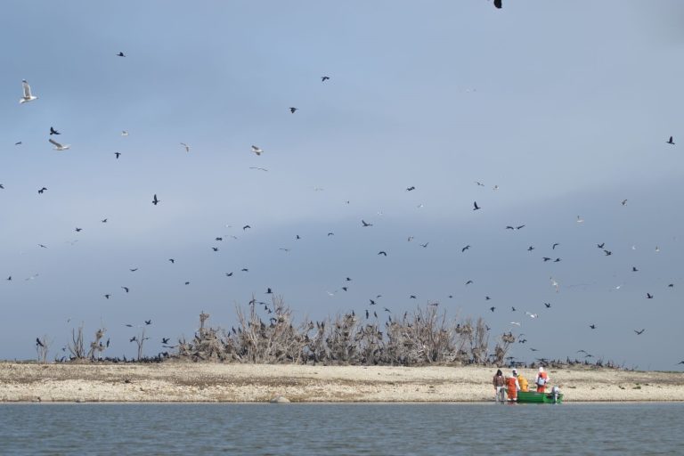 Aasta kalandustegu 2025 peaauhind ja rahva lemmik
